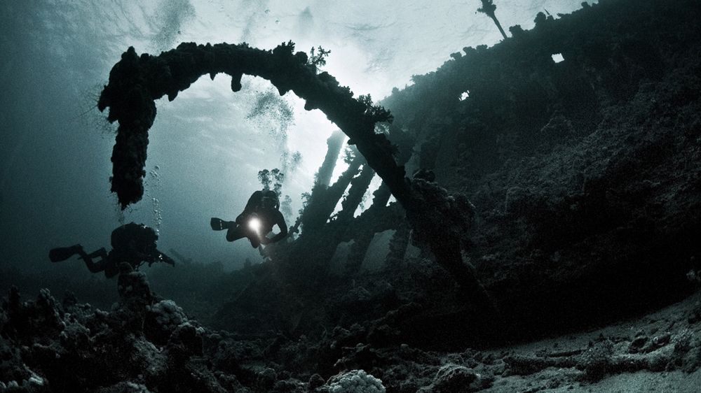 Według Piotra Stósa „fotografia podwodna to obszar z otwartą skalą rozwoju”. Zobaczcie, co kryją niezbadane głębiny 1