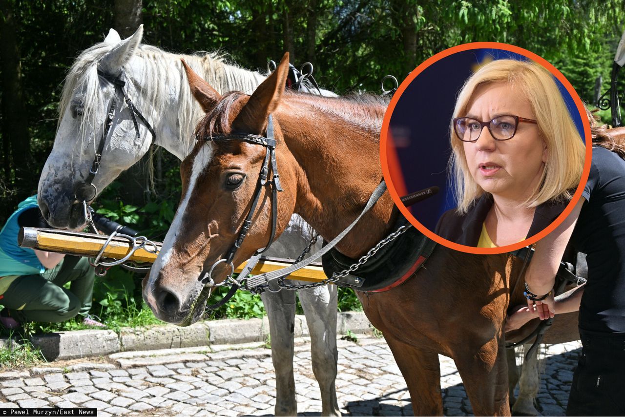 "Mamy zakupione busy". Ministra zapowiada zmiany w transporcie