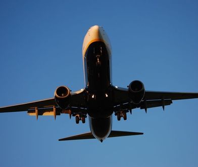 Ogromne straty Ryanaira. Czy przewoźnik wytoczy proces?