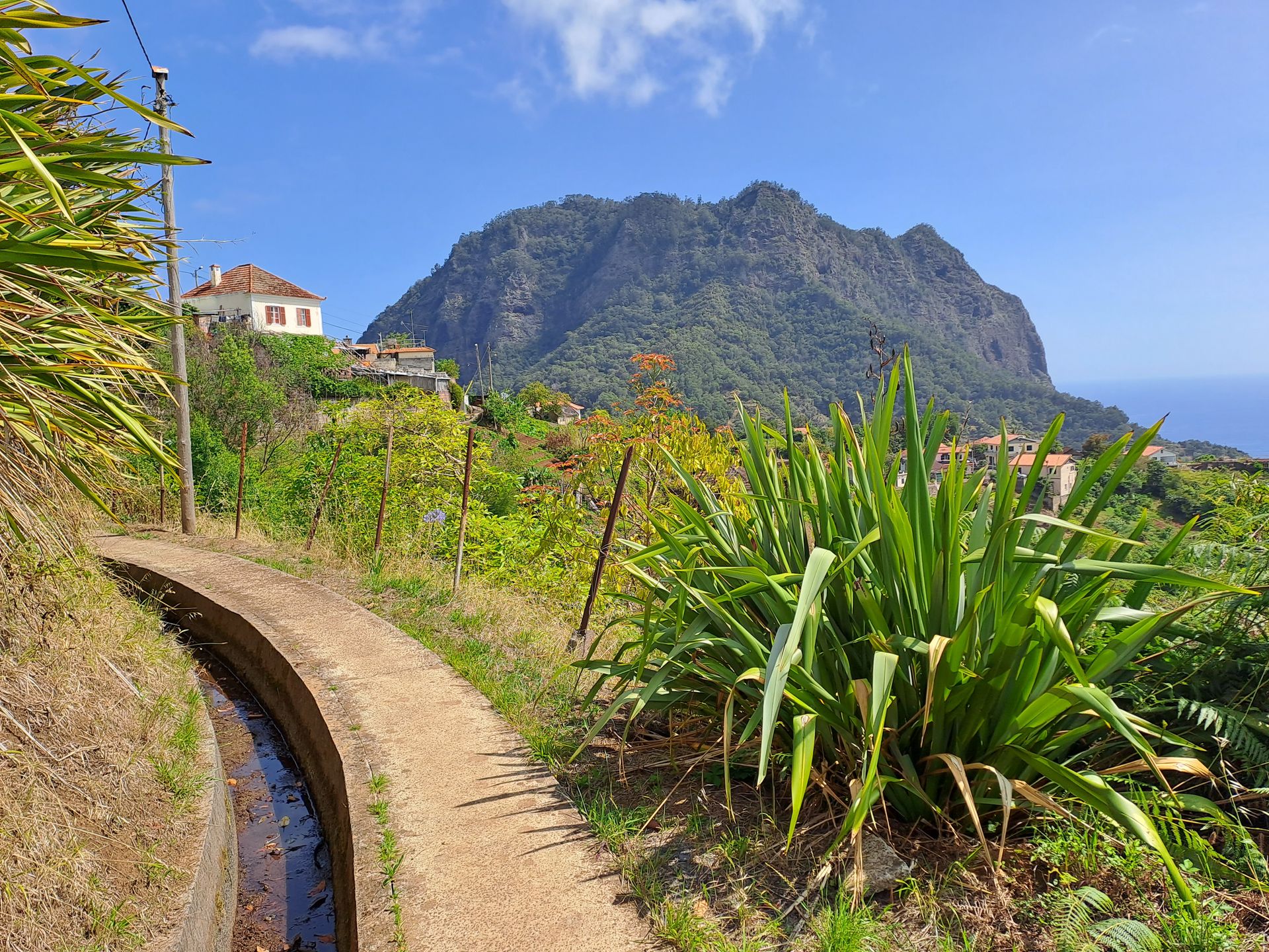 Malownicze lewady to znak rozpoznawczy Madery