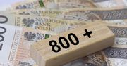 Brak waloryzacji 800 plus. Ekspert ostrzega przed ubóstwem