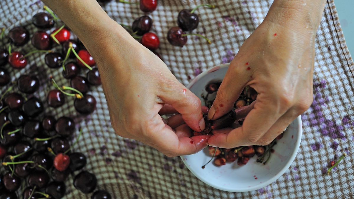 Jak drylować czereśnie bez drylownicy?