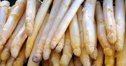 Wnioski z badań niemieckich naukowców. Szparagi mogą kumulować metale ciężkie