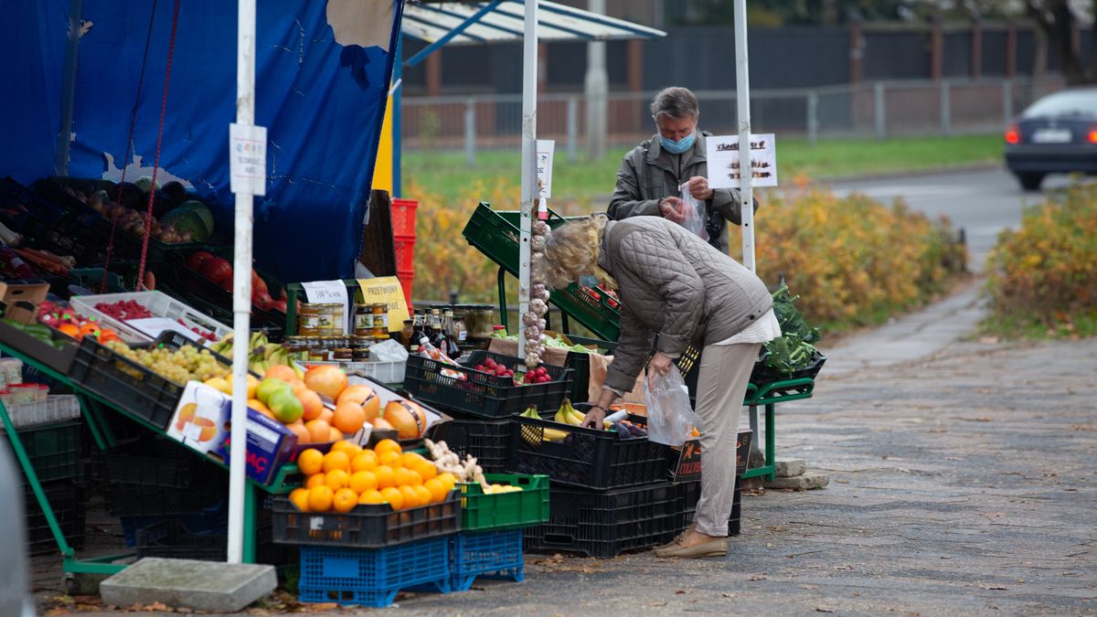 Na zdjęciu osoba kupująca owoce na targu