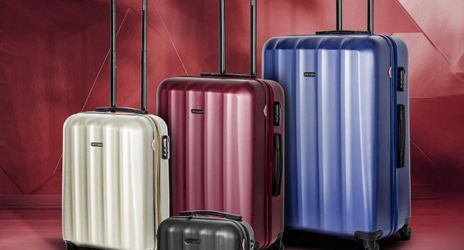 Produkty Wittchen po roku znowu w Lidlu. Specjalna oferta rusza na dniach