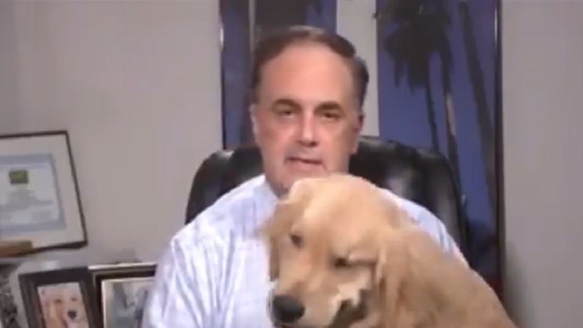 Pies telewizyjnego meteorologa przerwał transmisję na żywo