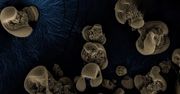 Groźniejsze niż koronawirus. "Największe zagrożenie w historii ludzkości"