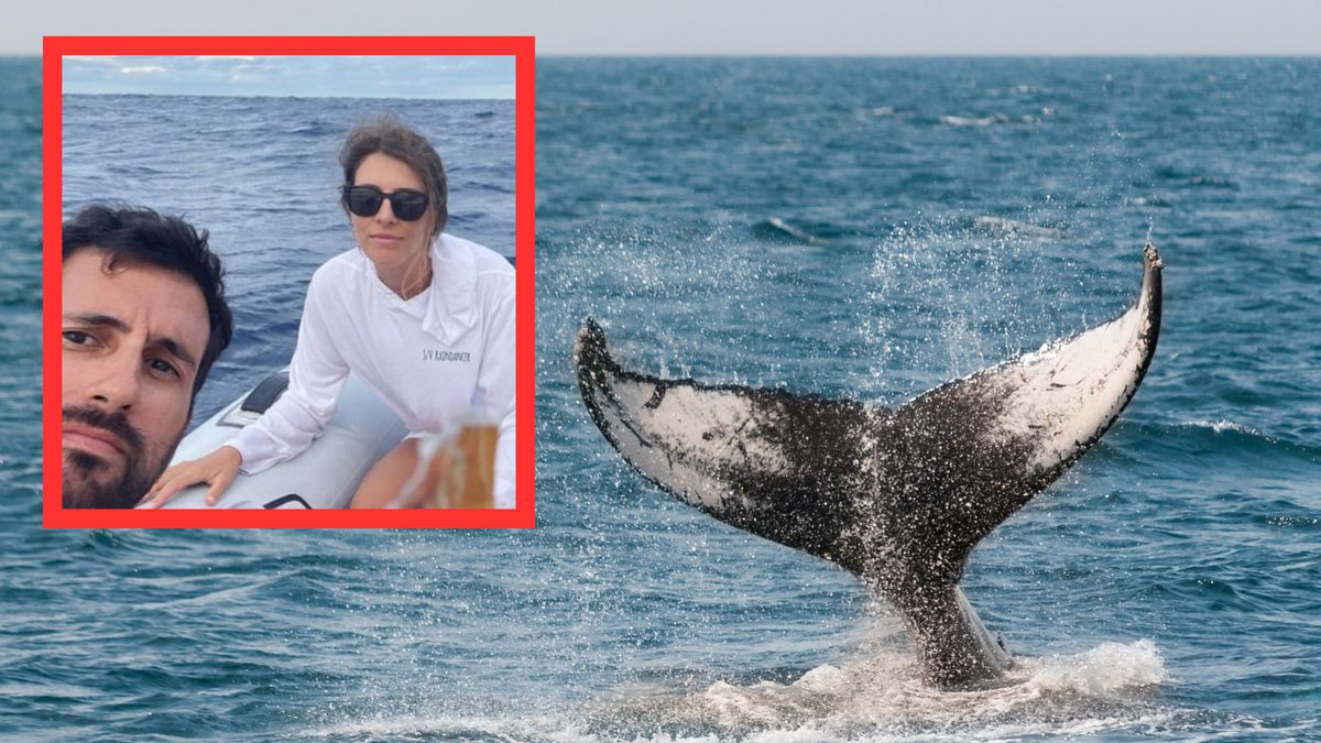 Grupa przyjaciół była na szczęście wyposażona w tratwę i ponton