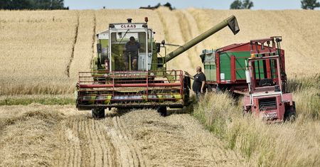Zwrot w UE ws. importu z Ukrainy? "Pierwsze dobre wieści w tym roku"