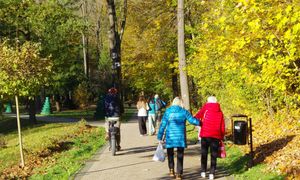 Piesek, kotek i "fajfy". Oto najczęstsze pytania kuracjuszy