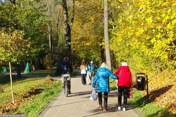 Piesek, kotek i "fajfy". Oto najczęstsze pytania kuracjuszy