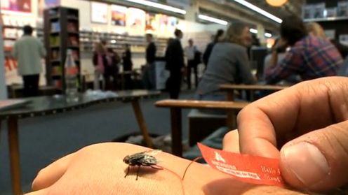 Muchy roznoszą... reklamy! (wideo) 1