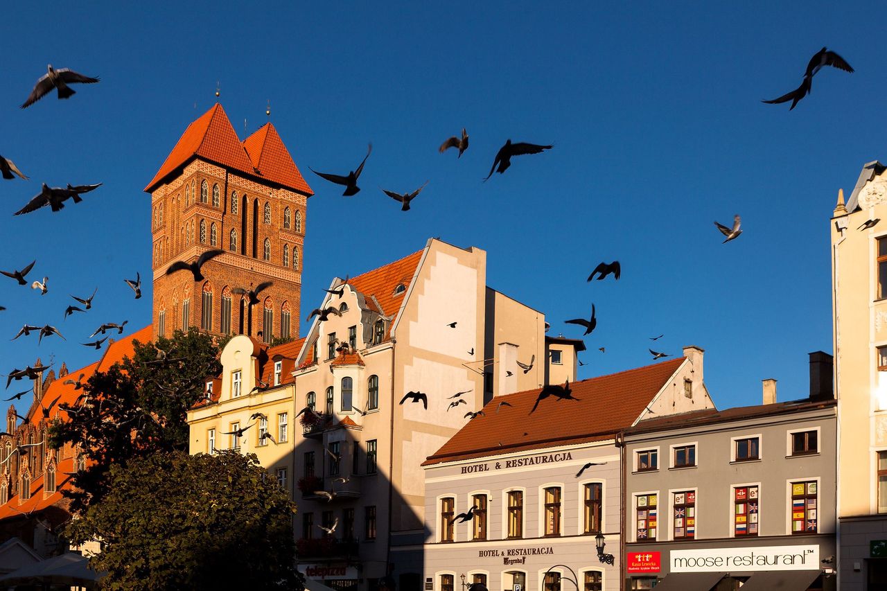 Toruń: Jarmark, koncerty i tango na świeżym powietrzu