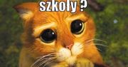 Powrót do szkoły - zbiór najciekawszych memów w sieci