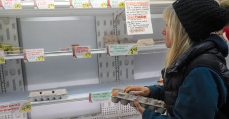 Ameryka szuka dostawców jajek. Kontaktują się z Polską