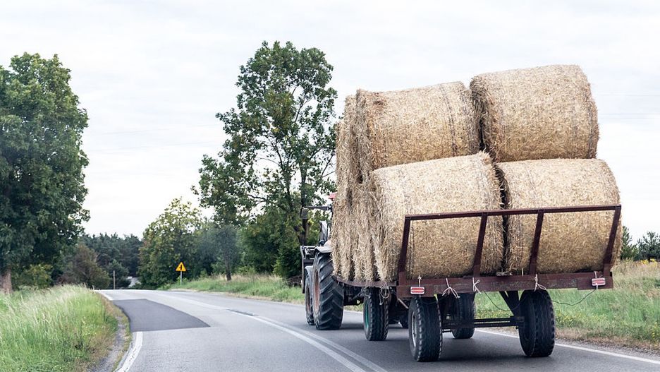 Poor Harvesting Season In Poland
Straw bales are seen on an a tractor in Belchatow, Poland on August 22, 2025. The harvest is drawing to a close. Many farmers say this year's harvest has been delayed due to the weather. As a result, 30 percent of the grain is unfit for human consumption. (Photo by Dominika Zarzycka/NurPhoto via Getty Images)
NurPhoto
belchatow, crops, harvest, agricultural challenges, lodzkie voivodeship, unfit, farming, straw bales, delayed, grain quality, nurphoto, grain, climate impact, setting, colour image, harvest season, human consumption, august 22, farmers, farming equipment, dominika zarzycka