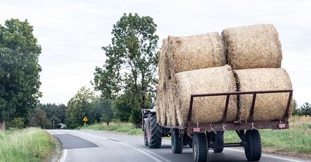Rolnik emeryt. Oto jaką emeryturę dostanie po 25 latach