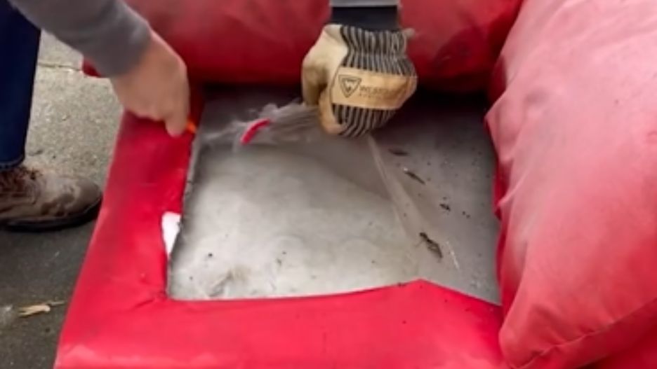 Mężczyźni znaleźli w starej kanapie koty