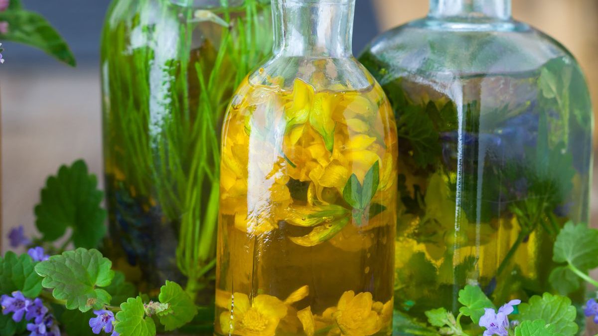 Forsycja to lekarstwo z ogródka - Pyszności