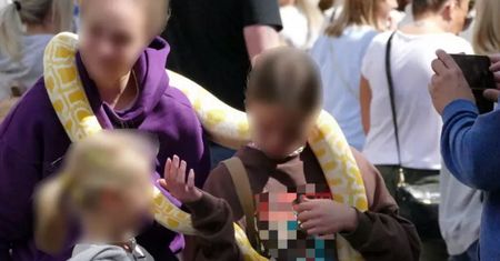 Prezentowali egzotyczne węże w centrum Gdańska. Teraz grozi im do 3 lat więzienia