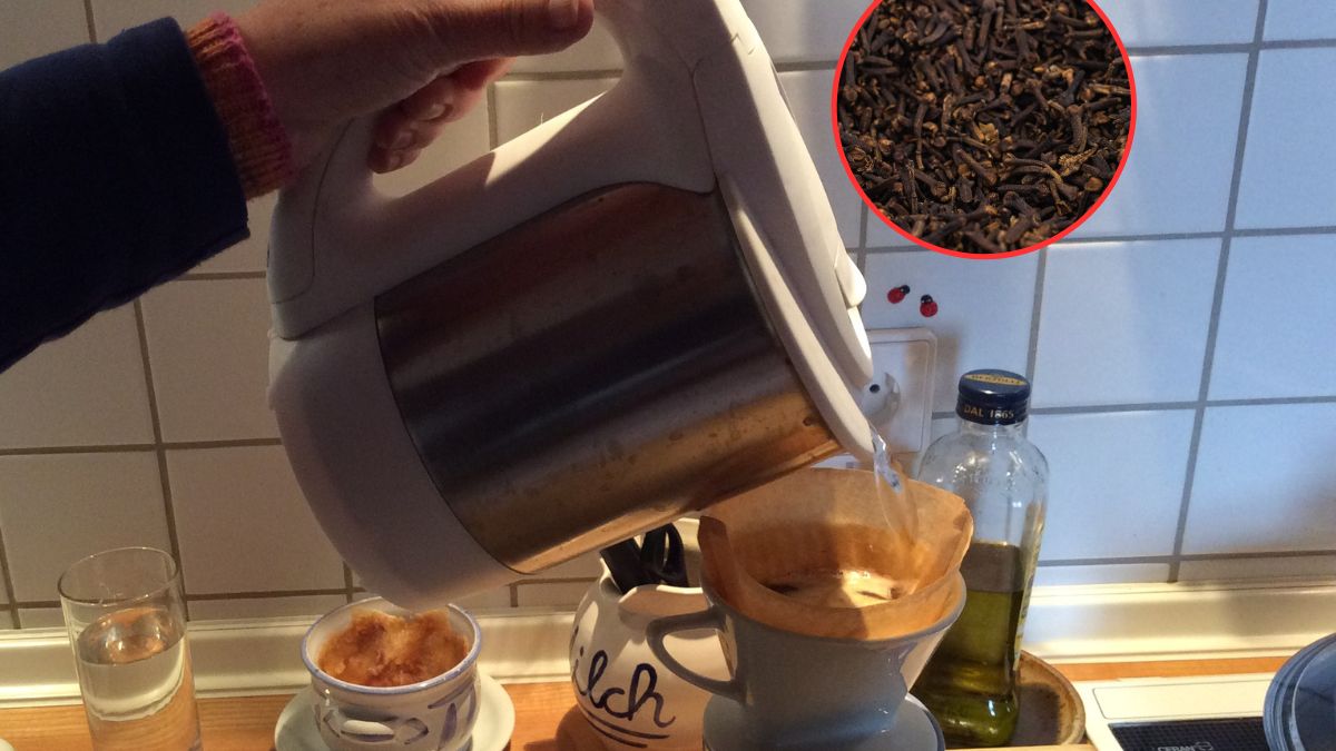 Kawa z goździkami wspiera zdrowie