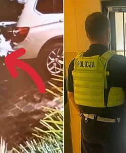 Zuchwała ogrodniczka z Trójmiasta. Nocą kradła egzotyczne rośliny