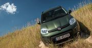 Fiat kupił włoskiego producenta silników wysokoprężnych VM Motori