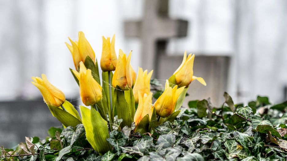 Zdjęcie ilustracyjne