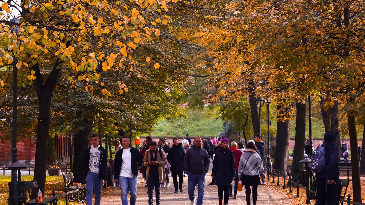 Te zmiany czekają Polaków od listopada 2024 roku