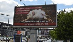 Stowarzyszenie Otwarte Klatki billboardami „Frankenkurczak" walczy  o poprawę warunków życia kur