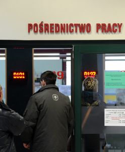 Bezrobocie w Polsce. Znikomy procent Ukraińców