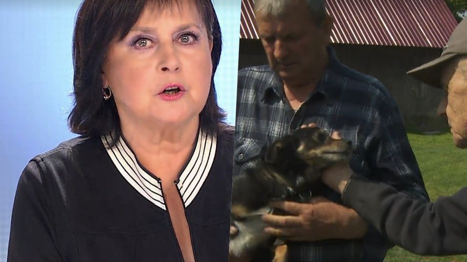 "Sprawa dla reportera" z kolejną, patologiczną historią