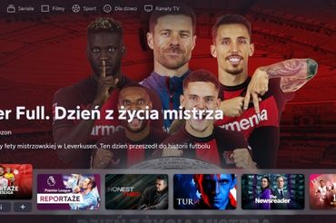 grafika
