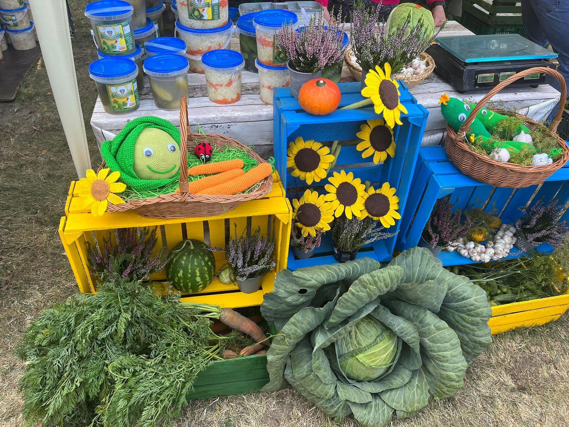 23. Dzień Ogórka w Kruszewie