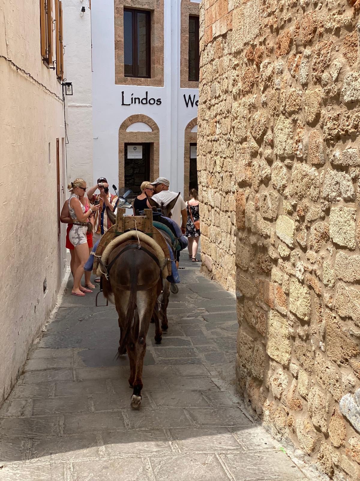 Ośla "taksówka" to popularny środek transportu na Rodos