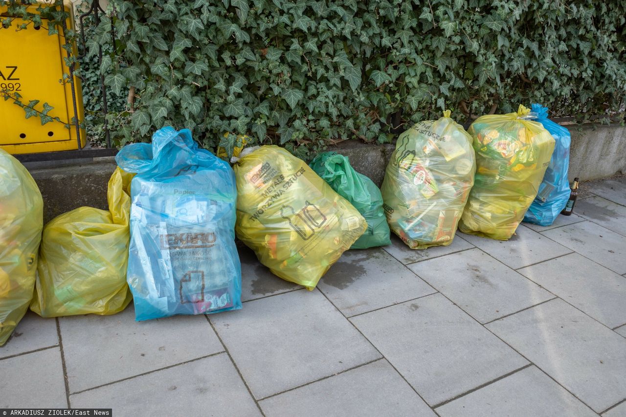 Sąd wydał wyrok w sprawie śmieci. Tego nie mogą gminy