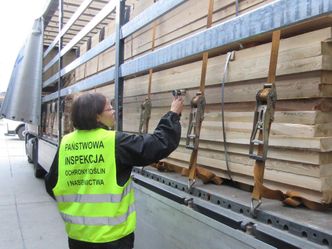 47 osób kontroluje, co z Ukrainy trafia do Polski. "I to jest obraz sytuacji"