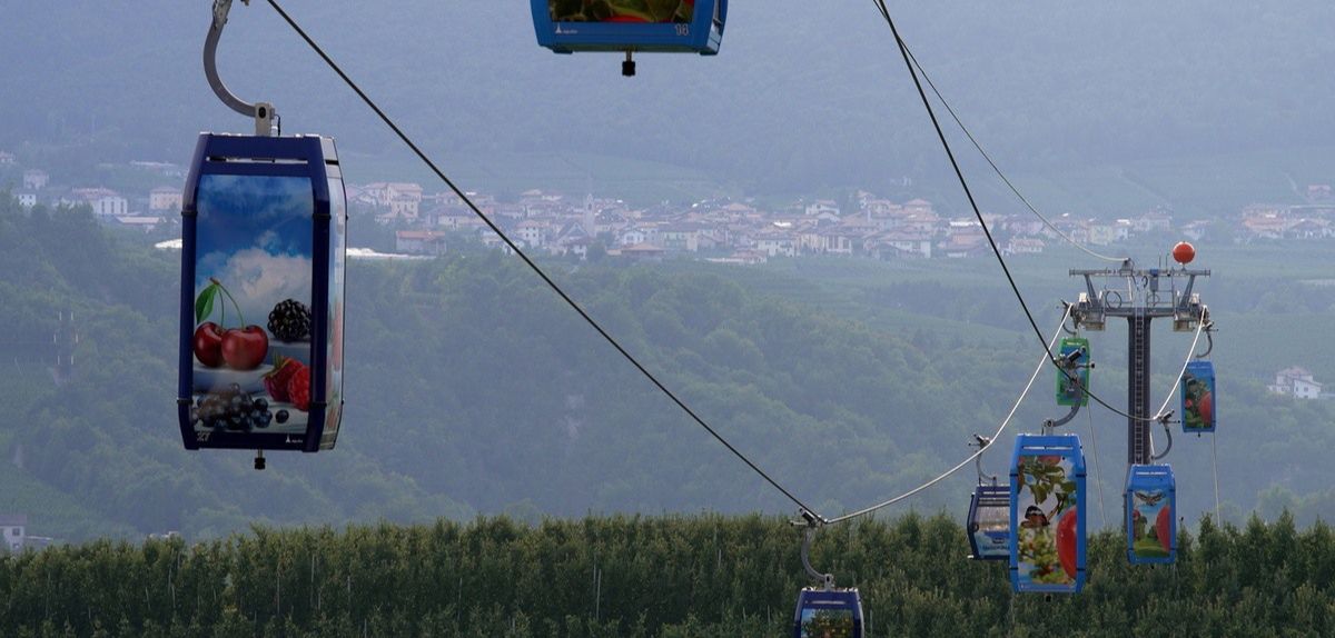 Pierwsza na świecie kolejka linowa dla jabłek już działa!