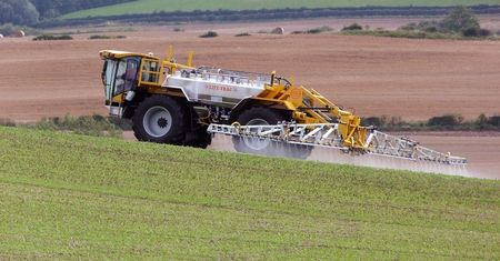 Glifosat od Monsanto zakazany w Meksyku. "Są dowody na negatywny wpływ na zdrowie"
