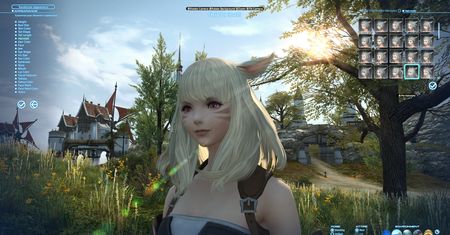 Final Fantasy 14 znów hitem. Ale w kolejce trzeba było swoje odstać
