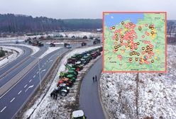 Protest rolników. 20 lutego 2024. Mapa utrudnień na drogach