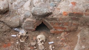Toruń: Belki cenniejsze niż złoto. Kolejne ciekawe znaleziska na bulwarze