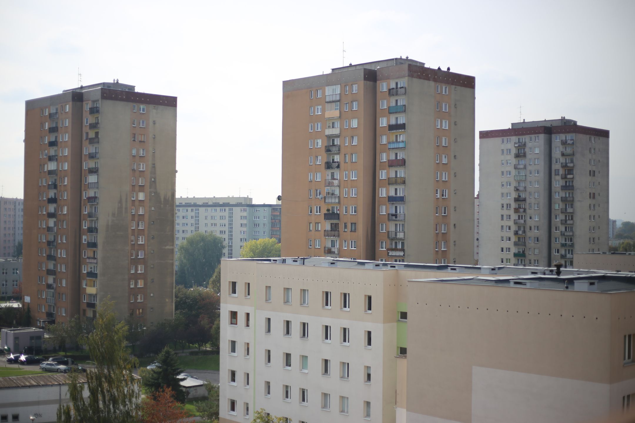 Canon EF 50 mm f/1.8 STM - niedroga przepustka do poważnej fotografii [recenzja] 62
