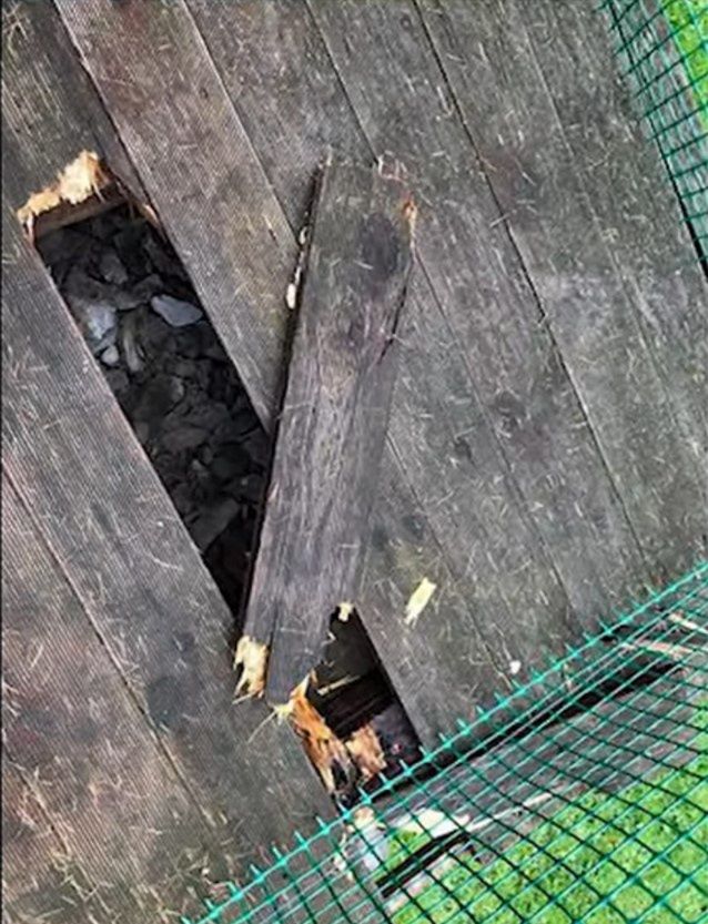 Poczciwy Krzychu o zdemolowanym domku