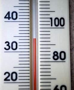 Tego nie spodziewali się nawet badacze. Najczęściej z powodu upałów umierają... młodzi dorośli