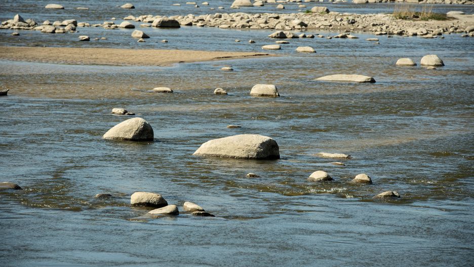 Warszawa. Trwa nabór na dotacje do gromadzenia deszczówki