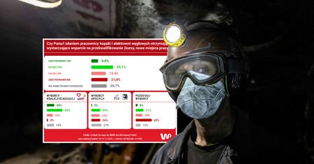Ta grupa bez wsparcia? Polacy obawiają się o skutki transformacji energetycznej