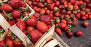 Wzrosły ceny truskawek w hurcie. Efekt złej pogody oraz kupców z Litwy