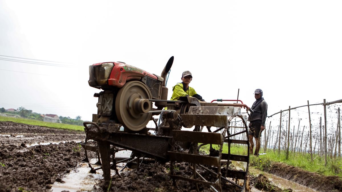 Indonesia Targets 400,000 Hectares Of New Rice Fields In 2026
Farmers plow rice fields using tractors, utilizing agricultural machinery as part of efforts to increase efficiency and productivity in land cultivation ahead of the planting season. The Indonesian government targets the creation of approximately 400,000 hectares of new rice fields with a budget of around Rp10 trillion as part of its food security program and efforts to achieve food self-sufficiency. (Photo by Ardi Septian/NurPhoto via Getty Images)
NurPhoto
program, productivity, target, planting season, 000 hectares, action shot, new rice fields, 400, achieve, ardi septian, rice fields, food security program, budget., tractors, cultivation, nurphoto, food self-sufficiency, ahead, indonesian government, increase, rp10 trillion, efforts, land cultivation, farmers