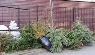 Choinkę wyrzuć do konkretnego pojemnika. Wiedziałeś o tym?